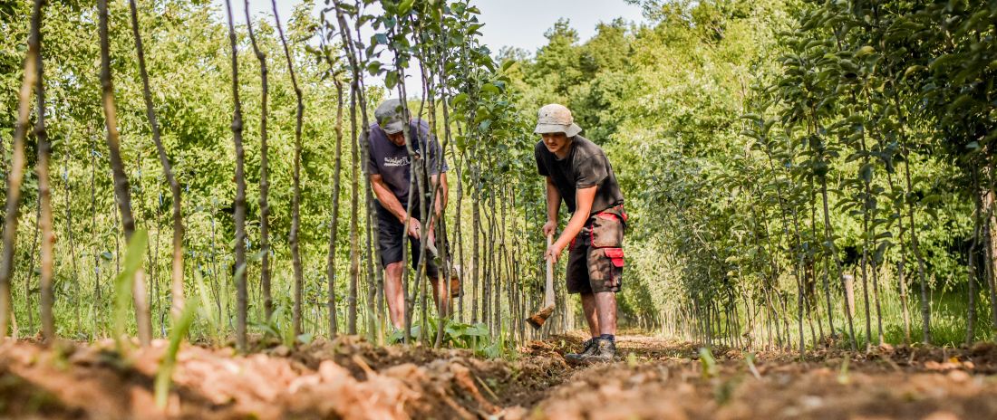 Ovocna_skolka_Bojkovice_polni_prace